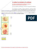 cuestionariomeiosisymitosis-120219190644-phpapp02