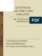 Electrofisiologia Mayo 2014
