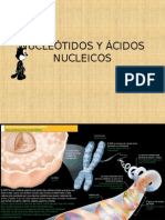 Nucleótidos y Acidos Nucleicos