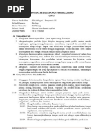 Rpp Sistem Koordinasi