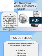 Que Son Los Tejidos