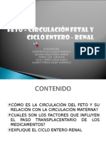 Circulacion fetal