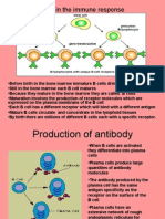 B Cells in The Immune Response: Expressed On The Plasma Membrane of The B Cell