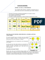 Primera Ley de Mendel