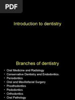 Introduction to Dentistry Basics | PDF | Dentistry | Tooth