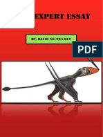 Dino Expert Paper PDF