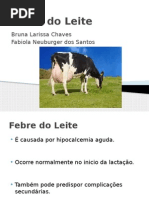 Febre do Leite.pptx