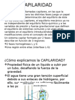 CAPILARIDAD