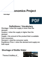 Stella Microeconomic Project