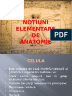 7. Notiuni Elementare de Anatomie