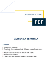 315 33 Audiencia de Tutela