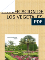 Clasificacion de Las Plantas