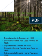 Política Forestal Nacional