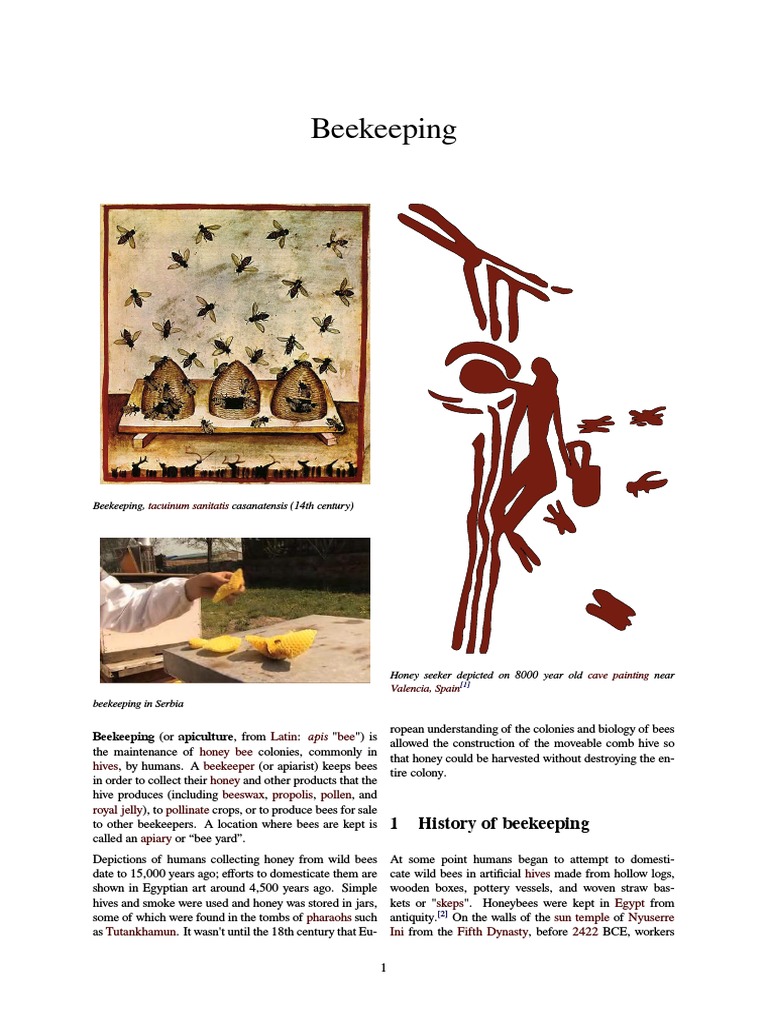 Beekeeping | PDF | Beekeeping | Beehive