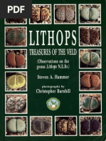 Amazon | Lithops: Treasures of Loveliness | Hammer, Steven