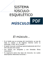 Musculo Esqueleti