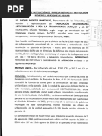 3.-Recurso Reformay Apelacion Amayt
