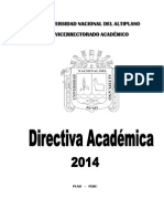 Directiva academica 2014 unap