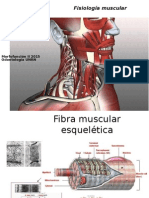 Musculos y Masticación