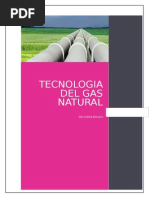 Ta - 1703 - 17510 Tecnologia Del Gas Natural-Desarrollado