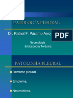 Patologia Pleural