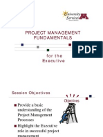 Project Management Fundamentals For The Executive