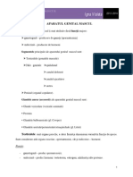 Aparatul Genital Mascul-Particularitati Anatomice Si Functionale