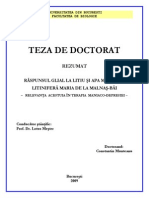 TEZA-REZUMAT.pdf