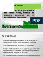 Presentación Ciclo Del Carbono