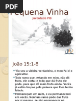 Pequena Vinha Juventude 1