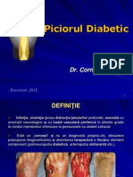 13. Piciorul Diabetic