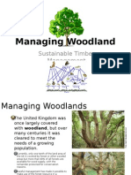 Managing Woodland