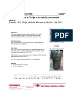 Performance Summary - Conventional Coring Sabalo 101I