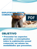 Explotacion Sexual Comercial Infantil (Esci) 2