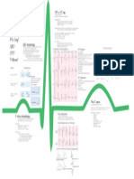 Ekg Morphology