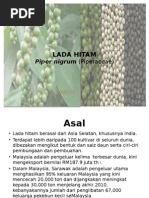 Download LadaHitambyCtRasheqaMatRazaliSN268858940 doc pdf