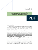 Capitulo6 PDF