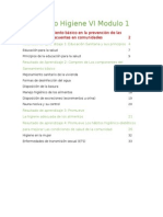 Contenido Higiene VI Modulo 1