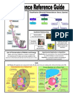 Levels of Organization Classification (Binomial Nomenclature: Genus, Species)