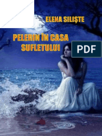 Elena Siliste - Pelerin in Casa Sufletului