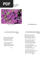 Madrinha Percilia - Folha Usada