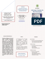 Liderazgo PDF