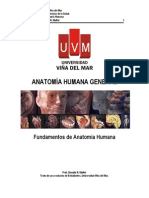Anatomia General PDF