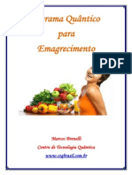 1 Edicao Ebook Programa Quantico para Emagrecimento