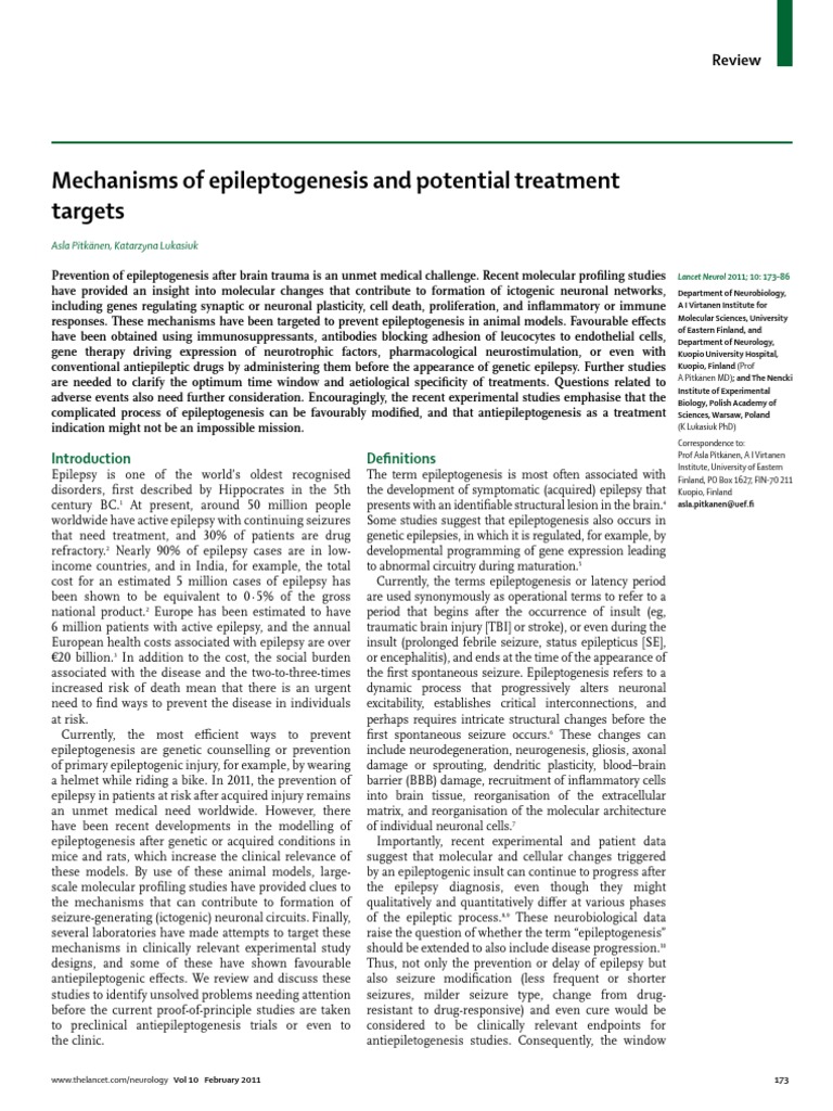 Mechanisms of Epileptogenesis and Potential Treatment Targets | PDF ...