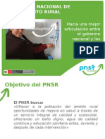 Presentación Director Del PNSR