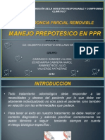 Ppr Grupo1 Diagnostico en Ppr