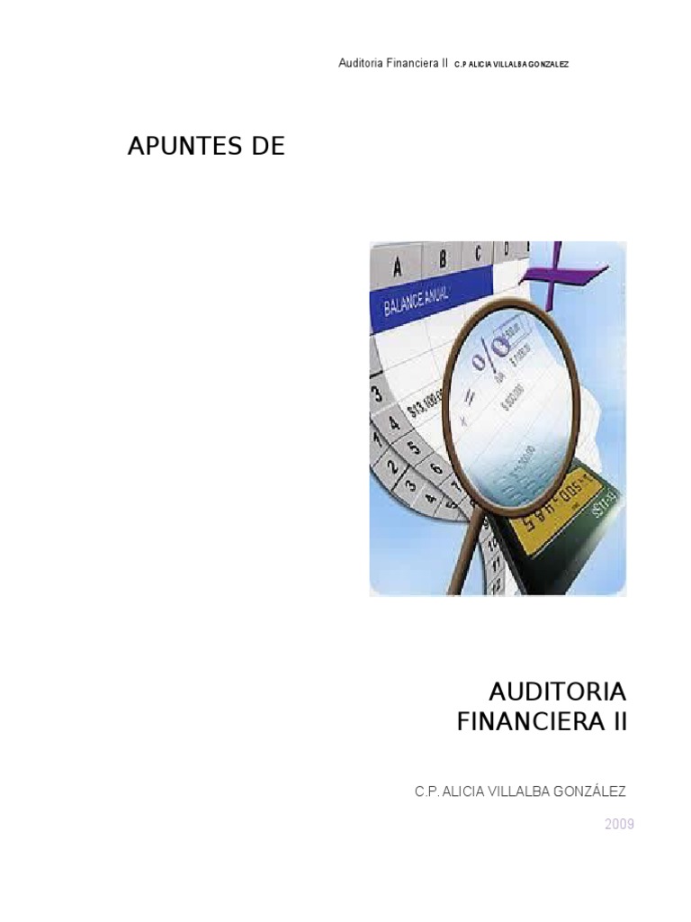 Auditoria Pdf Auditoría Financiera Contralor