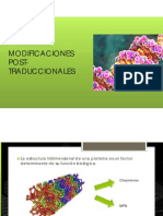 Modificaciones Postraduccionales