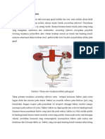 Pyelonefritis